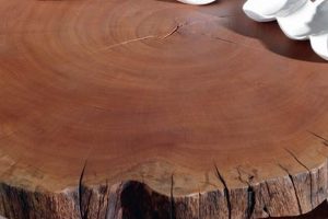 Elevate Your Space: Stunning Sequoia Coffee Table Designs | The Ultimate Coffee Guide: Types, Brewing Methods & Best Beans