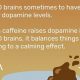 ADHD Coffee Paradox: Why Coffee Makes Me Sleepy [Explained] | The Ultimate Coffee Guide: Types, Brewing Methods & Best Beans