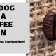 Help! My Dog Ate Coffee Bean? Risks &amp; What to Do | The Ultimate Coffee Guide: Types, Brewing Methods & Best Beans