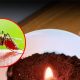 Does Burning Coffee Grounds Mosquitoes Really Work? Tips! | The Ultimate Coffee Guide: Types, Brewing Methods & Best Beans