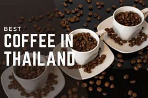 Best Thai Coffee Beans: From Farms to Your Cup! The Ultimate Coffee Guide: Types, Brewing Methods & Best Beans Best Thai Coffee Beans: From Farms to Your Cup! | The Ultimate Coffee Guide: Types, Brewing Methods & Best Beans