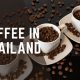 Best Thai Coffee Beans: From Farms to Your Cup! | The Ultimate Coffee Guide: Types, Brewing Methods & Best Beans