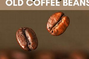 Brew Again! What to Do With Old Coffee Beans - Ideas The Ultimate Coffee Guide: Types, Brewing Methods & Best Beans Brew Again! What to Do With Old Coffee Beans - Ideas | The Ultimate Coffee Guide: Types, Brewing Methods & Best Beans