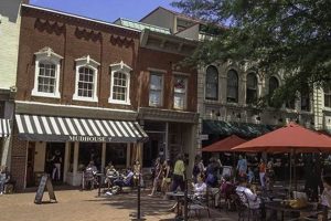 Best Charlottesville Coffee Shops: Brews & Beans Guide | The Ultimate Coffee Guide: Types, Brewing Methods & Best Beans