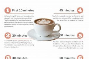 Can Drinking Coffee *After* Concussion *Help* or Hurt? The Ultimate Coffee Guide: Types, Brewing Methods & Best Beans Can Drinking Coffee *After* Concussion *Help* or Hurt? | The Ultimate Coffee Guide: Types, Brewing Methods & Best Beans