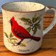 Buy Lovely Cardinal Coffee Mugs Now! | The Ultimate Coffee Guide: Types, Brewing Methods & Best Beans