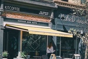 Best Windsor Ontario Coffee Shops: Your Local Brews! | The Ultimate Coffee Guide: Types, Brewing Methods & Best Beans