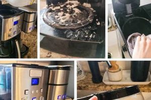 Easy Baking Soda Coffee Maker Cleaning: Tips & Tricks! The Ultimate Coffee Guide: Types, Brewing Methods & Best Beans Easy Baking Soda Coffee Maker Cleaning: Tips & Tricks! | The Ultimate Coffee Guide: Types, Brewing Methods & Best Beans