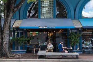 Best Coconut Grove Coffee Shops: A Local's Guide | The Ultimate Coffee Guide: Types, Brewing Methods & Best Beans
