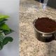 Pothos &amp; Coffee Grounds: Does Pothos Like Coffee Grounds? Tips! | The Ultimate Coffee Guide: Types, Brewing Methods & Best Beans