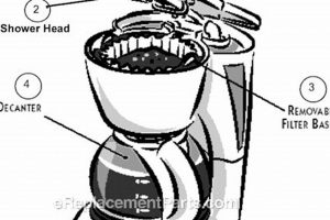 Essential Coffee Maker Machine Parts: Function & Care The Ultimate Coffee Guide: Types, Brewing Methods & Best Beans Essential Coffee Maker Machine Parts: Function & Care | The Ultimate Coffee Guide: Types, Brewing Methods & Best Beans