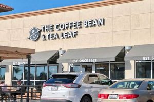 Best Coffee Bean Long Beach CA: Your Local Guide The Ultimate Coffee Guide: Types, Brewing Methods & Best Beans Best Coffee Bean Long Beach CA: Your Local Guide | The Ultimate Coffee Guide: Types, Brewing Methods & Best Beans