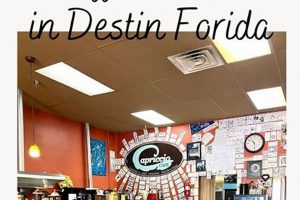 Coffee Shops In Destin Florida | The Ultimate Coffee Guide: Types, Brewing Methods & Best Beans