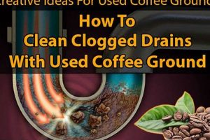 Can Coffee Grounds Clog Drains? Facts & Prevention The Ultimate Coffee Guide: Types, Brewing Methods & Best Beans Can Coffee Grounds Clog Drains? Facts & Prevention | The Ultimate Coffee Guide: Types, Brewing Methods & Best Beans