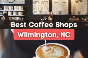 Best Coffee Shops Wilmington Nc | The Ultimate Coffee Guide: Types, Brewing Methods & Best Beans