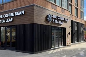 Your Guide: Coffee Bean & Tea Leaf Nutritional Information Now! | The Ultimate Coffee Guide: Types, Brewing Methods & Best Beans