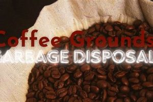 Are Coffee Grounds in the Garbage Disposal Safe? Tips &amp; Risks | The Ultimate Coffee Guide: Types, Brewing Methods & Best Beans
