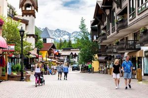Best Coffee Shops in Vail Village: A Complete Guide The Ultimate Coffee Guide: Types, Brewing Methods & Best Beans Best Coffee Shops in Vail Village: A Complete Guide | The Ultimate Coffee Guide: Types, Brewing Methods & Best Beans