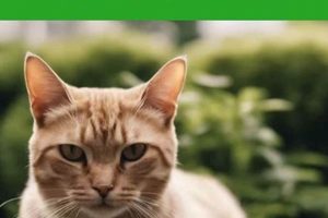 Do Coffee Grounds Keep Cats Away? + More Tips! | The Ultimate Coffee Guide: Types, Brewing Methods & Best Beans