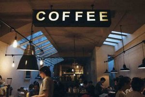 Coffee Shops With Wifi | The Ultimate Coffee Guide: Types, Brewing Methods & Best Beans