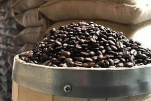 Best Place to Bulk Buy Coffee Beans Online - [Brand Name] | The Ultimate Coffee Guide: Types, Brewing Methods & Best Beans