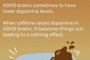 ADHD & Coffee: Why Coffee Makes Me Sleepy [Explained] | The Ultimate Coffee Guide: Types, Brewing Methods & Best Beans