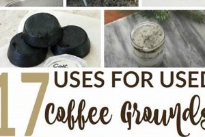 Best Way How to Store Used Coffee Grounds | Tips & Tricks | The Ultimate Coffee Guide: Types, Brewing Methods & Best Beans