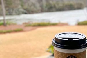 Best Coffee Shops in Sandy Springs GA: Your Local Guide The Ultimate Coffee Guide: Types, Brewing Methods & Best Beans Best Coffee Shops in Sandy Springs GA: Your Local Guide | The Ultimate Coffee Guide: Types, Brewing Methods & Best Beans