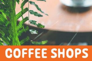 Best Coffee Shops Lexington SC: Caffeine & Community | The Ultimate Coffee Guide: Types, Brewing Methods & Best Beans