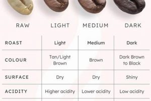 Discover the Ultimate Strongest Coffee Bean Powerhouse! The Ultimate Coffee Guide: Types, Brewing Methods & Best Beans Discover the Ultimate Strongest Coffee Bean Powerhouse! | The Ultimate Coffee Guide: Types, Brewing Methods & Best Beans