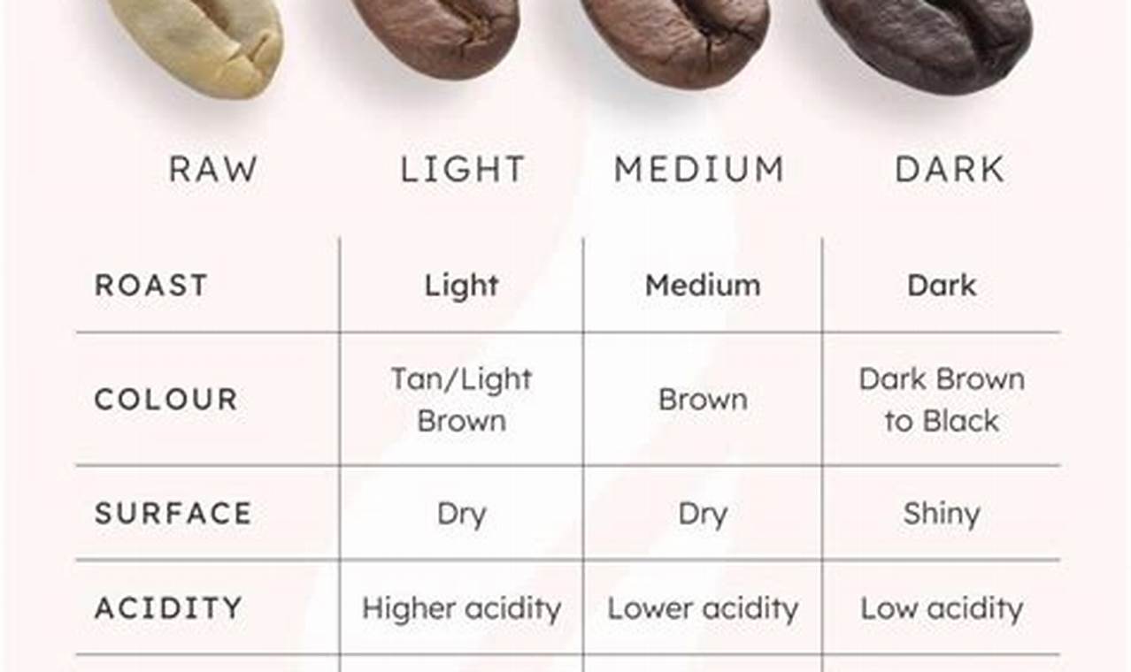 Discover the Ultimate Strongest Coffee Bean Powerhouse! The Ultimate Coffee Guide: Types, Brewing Methods & Best Beans Discover the Ultimate Strongest Coffee Bean Powerhouse! | The Ultimate Coffee Guide: Types, Brewing Methods & Best Beans