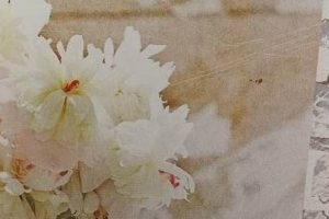 Best 8 Oz Coffee Cups: Uses, Types & Buying Guide The Ultimate Coffee Guide: Types, Brewing Methods & Best Beans Best 8 Oz Coffee Cups: Uses, Types & Buying Guide | The Ultimate Coffee Guide: Types, Brewing Methods & Best Beans