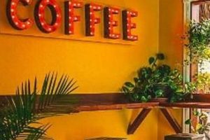 Best Coffee Shop Siesta Key: Your Guide + Reviews The Ultimate Coffee Guide: Types, Brewing Methods & Best Beans Best Coffee Shop Siesta Key: Your Guide + Reviews | The Ultimate Coffee Guide: Types, Brewing Methods & Best Beans