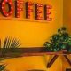 Best Coffee Shop Siesta Key: Your Guide + Reviews | The Ultimate Coffee Guide: Types, Brewing Methods & Best Beans