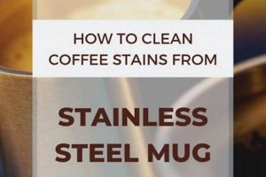 Easy How To Clean Stainless Steel Coffee Cups - Guide The Ultimate Coffee Guide: Types, Brewing Methods & Best Beans Easy How To Clean Stainless Steel Coffee Cups - Guide | The Ultimate Coffee Guide: Types, Brewing Methods & Best Beans