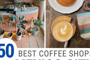 Mexico Coffee Shops The Ultimate Coffee Guide: Types, Brewing Methods & Best Beans Mexico Coffee Shops | The Ultimate Coffee Guide: Types, Brewing Methods & Best Beans