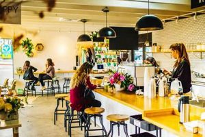 Best Coffee Shops in North Park: Your Local Guide | The Ultimate Coffee Guide: Types, Brewing Methods & Best Beans