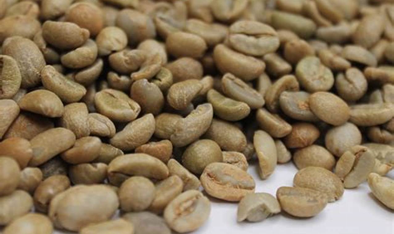 Buy Yemen Green Coffee Beans - Premium Quality! The Ultimate Coffee Guide: Types, Brewing Methods & Best Beans Buy Yemen Green Coffee Beans - Premium Quality! | The Ultimate Coffee Guide: Types, Brewing Methods & Best Beans