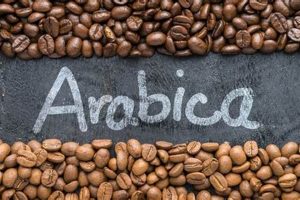 Discover the Best Arabica Coffee Beans: Your Guide | The Ultimate Coffee Guide: Types, Brewing Methods & Best Beans