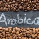 Discover the Best Arabica Coffee Beans: Your Guide | The Ultimate Coffee Guide: Types, Brewing Methods & Best Beans