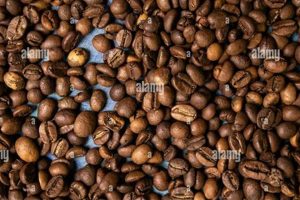 Best Bulk Roasted Coffee Beans Deals: Save Big! | The Ultimate Coffee Guide: Types, Brewing Methods & Best Beans