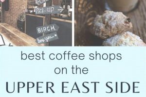 Best Coffee Shops Upper East Side | The Ultimate Coffee Guide: Types, Brewing Methods & Best Beans