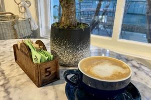 Coffee Shops In Downtown Savannah | The Ultimate Coffee Guide: Types, Brewing Methods & Best Beans