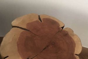 Unique Tree Log Coffee Table: Rustic Wood Decor | The Ultimate Coffee Guide: Types, Brewing Methods & Best Beans