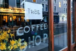 Tribe Coffee Shop | The Ultimate Coffee Guide: Types, Brewing Methods & Best Beans