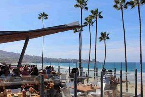 Your Guide to the Best Coffee Shops in La Jolla, CA The Ultimate Coffee Guide: Types, Brewing Methods & Best Beans Your Guide to the Best Coffee Shops in La Jolla, CA | The Ultimate Coffee Guide: Types, Brewing Methods & Best Beans