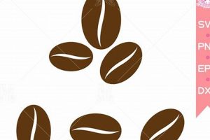 Get Your Coffee Bean SVG + Free Designs | The Ultimate Coffee Guide: Types, Brewing Methods & Best Beans