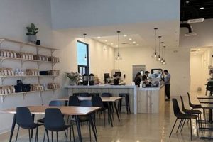 Best Coffee Shops in Leander, TX: Your Local Guide | The Ultimate Coffee Guide: Types, Brewing Methods & Best Beans