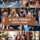 Your Guide: Best Dog Friendly Coffee Shops in Austin, TX Today! | The Ultimate Coffee Guide: Types, Brewing Methods & Best Beans