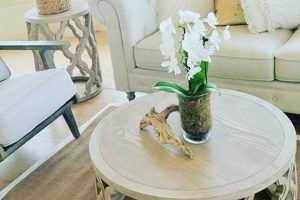 Shop Coastal Round Coffee Tables: Beachy & Stylish! | The Ultimate Coffee Guide: Types, Brewing Methods & Best Beans
